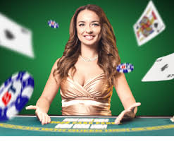 নতুন ব্যবহারকারীদের জন্য 9777dbt নিরাপদ লগইন চিত্র